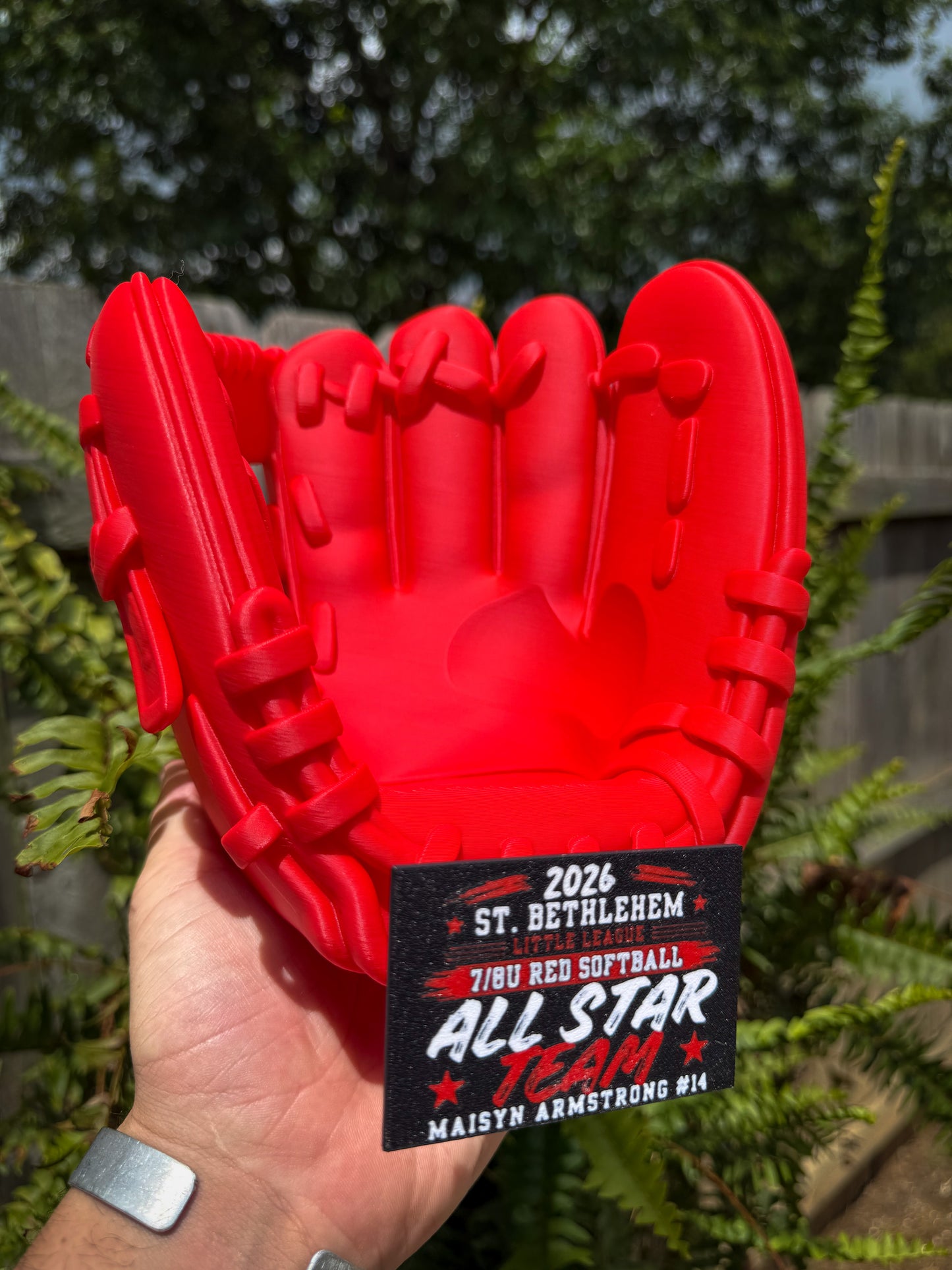 Baseball or Softball Glove Display