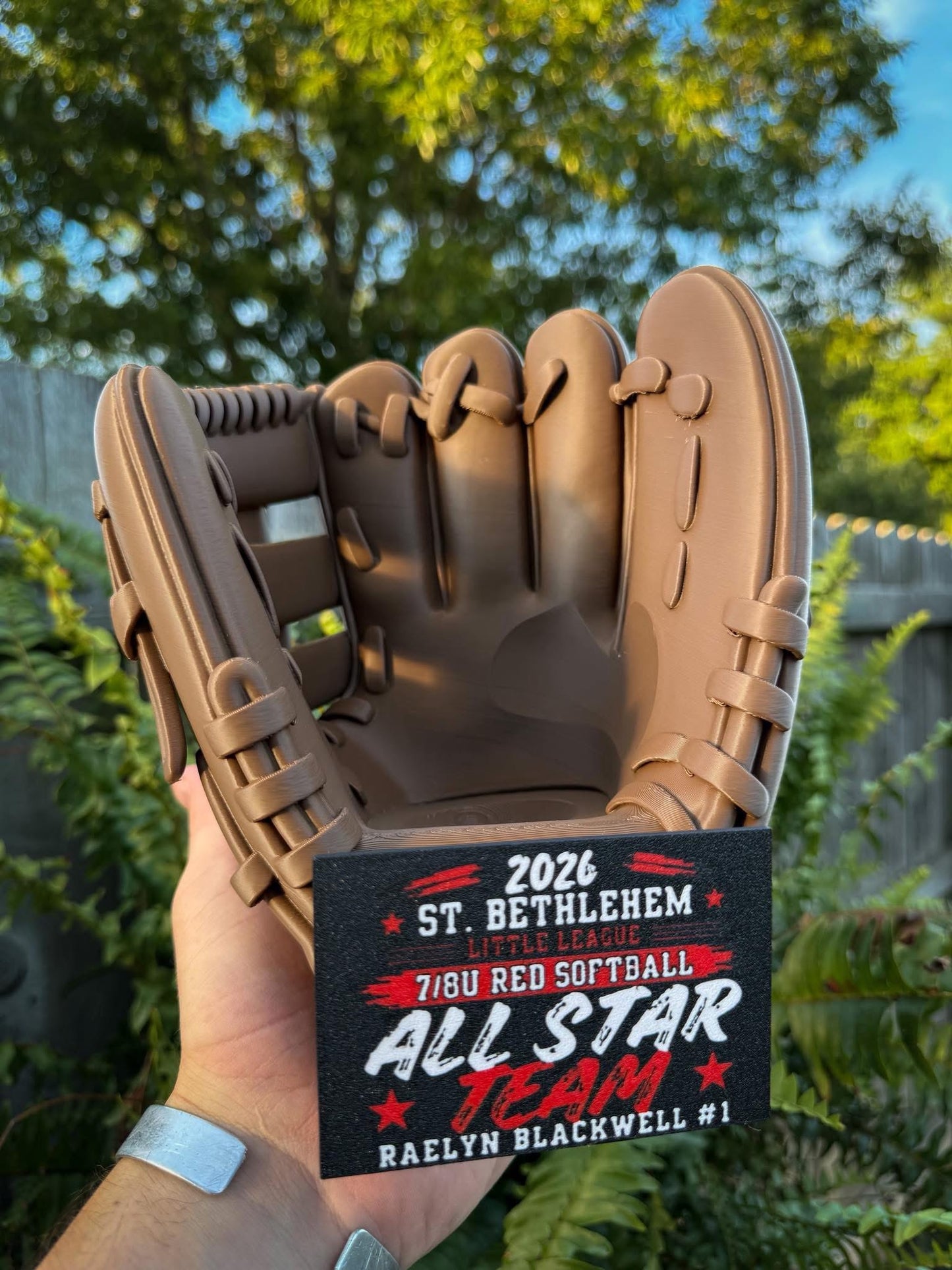 Baseball or Softball Glove Display